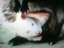 200711031816000.jpg