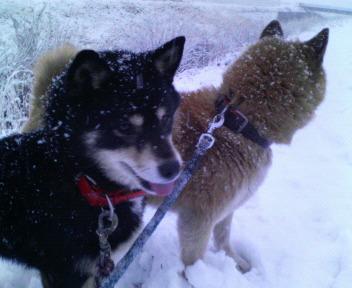 200802030718001.jpg