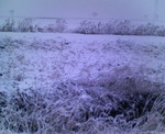 200802030718000.jpg